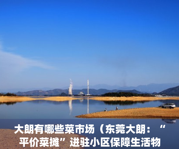 大朗有哪些菜市场（东莞大朗：“平价菜摊”进驻小区保障生活物资）(大朗有几个菜市场)