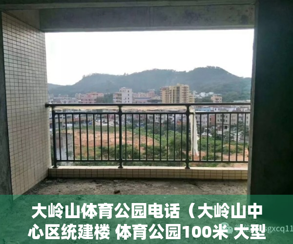 大岭山体育公园电话（大岭山中心区统建楼 体育公园100米 大型停车场 大三房368W）