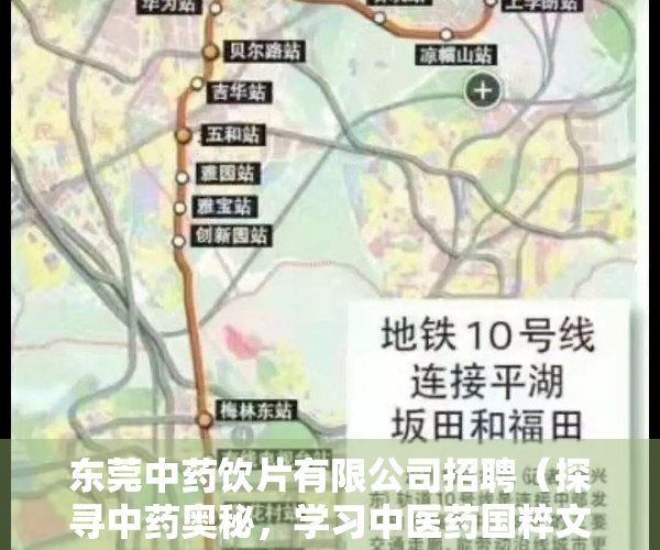 东莞中药饮片有限公司招聘（探寻中药奥秘，学习中医药国粹文化！东莞报业小记者走进东莞国药总部）