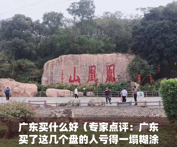 广东买什么好（专家点评：广东买了这几个盘的人亏得一塌糊涂，别再选错了！）