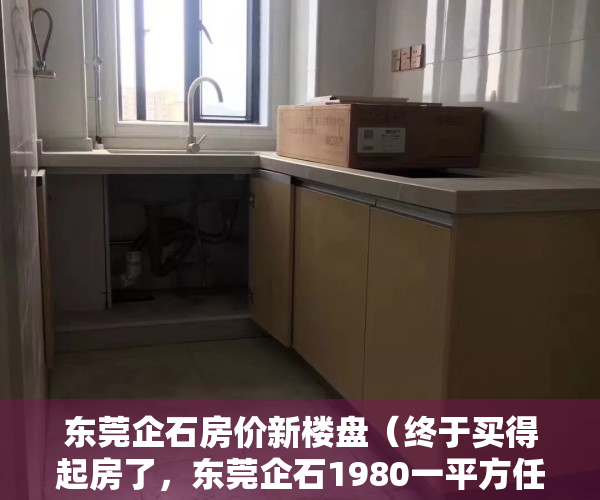 东莞企石房价新楼盘（终于买得起房了，东莞企石1980一平方任选也算是有个家了比租房强）