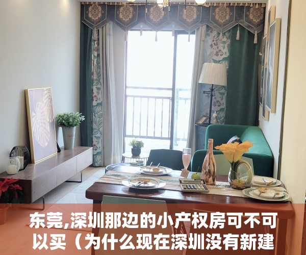 东莞,深圳那边的小产权房可不可以买（为什么现在深圳没有新建的小产权房而东莞有很多新建的呢？）