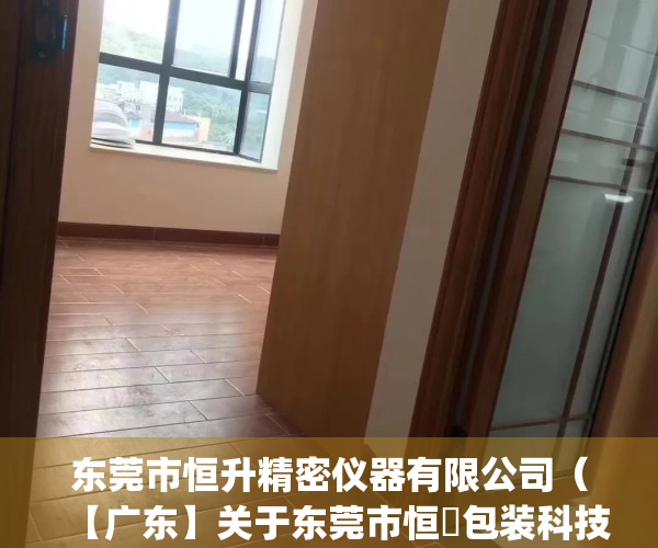 东莞市恒升精密仪器有限公司（【广东】关于东莞市恒昇包装科技有限公司的行政处罚决定书  东市监处罚[2023]220309001号）
