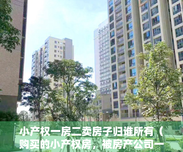 小产权一房二卖房子归谁所有（购买的小产权房，被房产公司一房二卖怎么维权？）