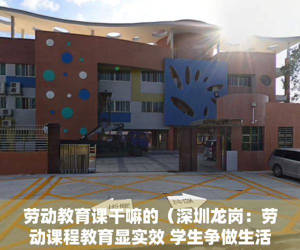 劳动教育课干嘛的（深圳龙岗：劳动课程教育显实效 学生争做生活小主人）