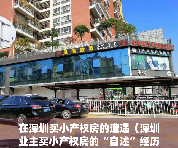 在深圳买小产权房的遭遇（深圳业主买小产权房的“自述”经历！）(深圳买小产权房安全吗)