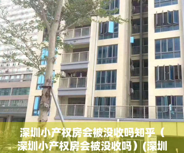 深圳小产权房会被没收吗知乎（深圳小产权房会被没收吗）(深圳小产权房最新政策政府全部收走)