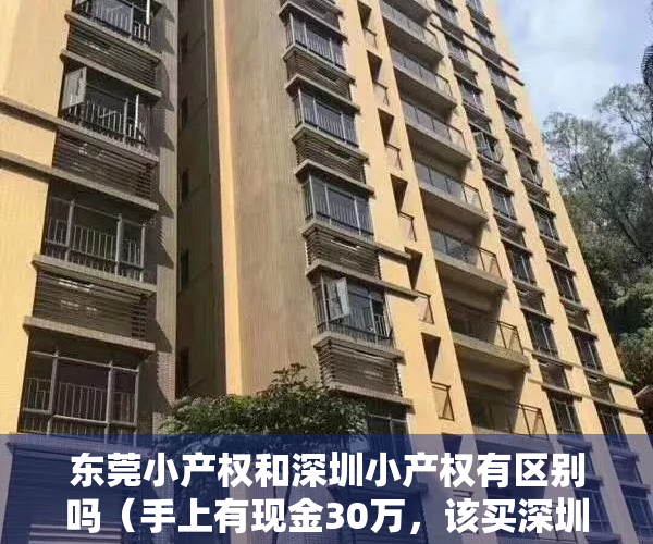 东莞小产权和深圳小产权有区别吗（手上有现金30万，该买深圳小产权房还是东莞红本？）