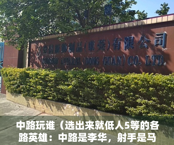 中路玩谁（选出来就低人5等的各路英雄：中路是李华，射手是马可，打野是TA）