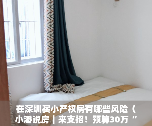 在深圳买小产权房有哪些风险（小潘说房｜来支招！预算30万“上车”深圳小产权还是东莞红本？）