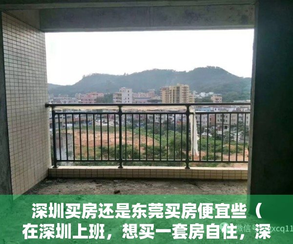 深圳买房还是东莞买房便宜些（在深圳上班，想买一套房自住，深圳太贵买不起，选东莞塘厦小产权房可好？）