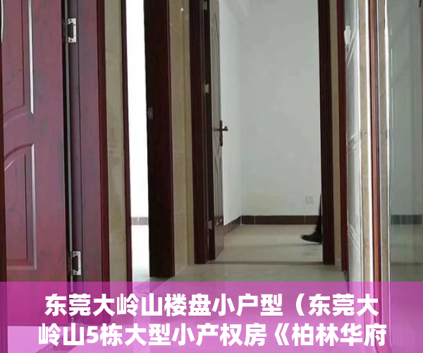 东莞大岭山楼盘小户型（东莞大岭山5栋大型小产权房《柏林华府》，均价4字头，自带停车场，距大岭山地铁站300米）
