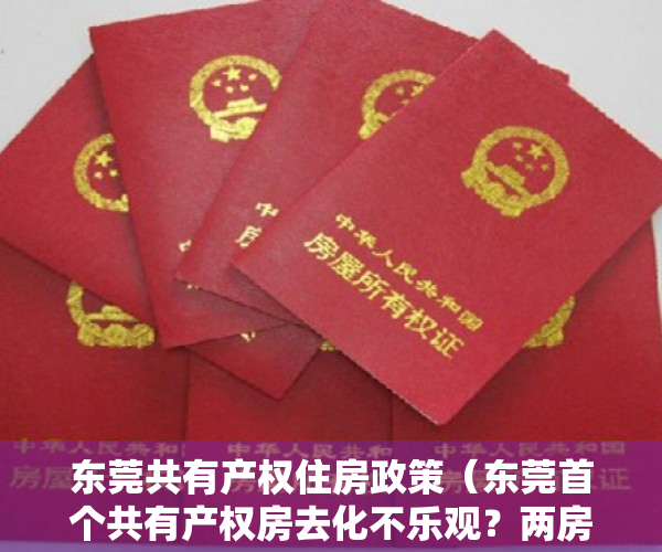 东莞共有产权住房政策（东莞首个共有产权房去化不乐观？两房户型遇冷）