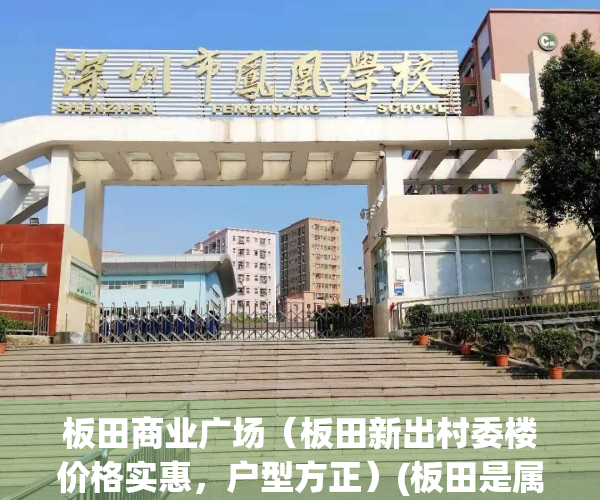 板田商业广场（板田新出村委楼价格实惠，户型方正）(板田是属于哪个区)