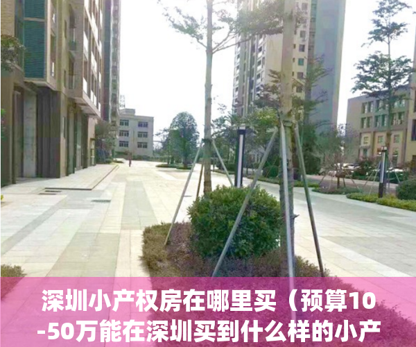 深圳小产权房在哪里买（预算10-50万能在深圳买到什么样的小产权房？）(深圳最值得买的小产权房)