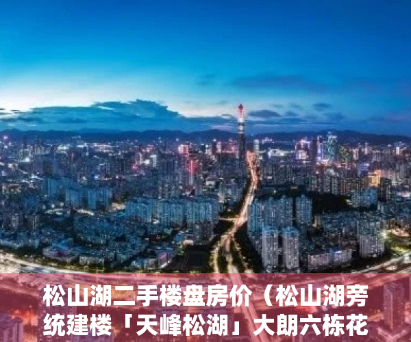 松山湖二手楼盘房价（松山湖旁统建楼「天峰松湖」大朗六栋花园洋房）