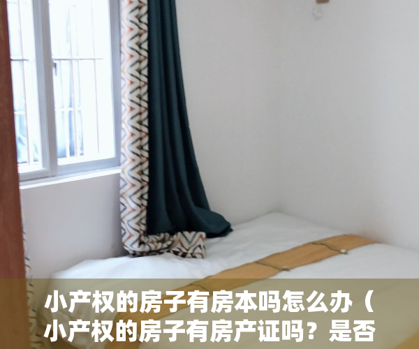 小产权的房子有房本吗怎么办（小产权的房子有房产证吗？是否可以进行买卖？）