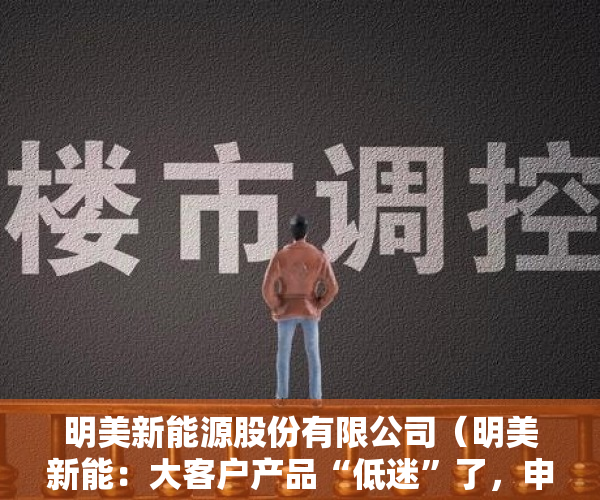 明美新能源股份有限公司（明美新能：大客户产品“低迷”了，申报前夕实控人因离婚风波违法了，公司未来该何去何从｜IPO观察）
