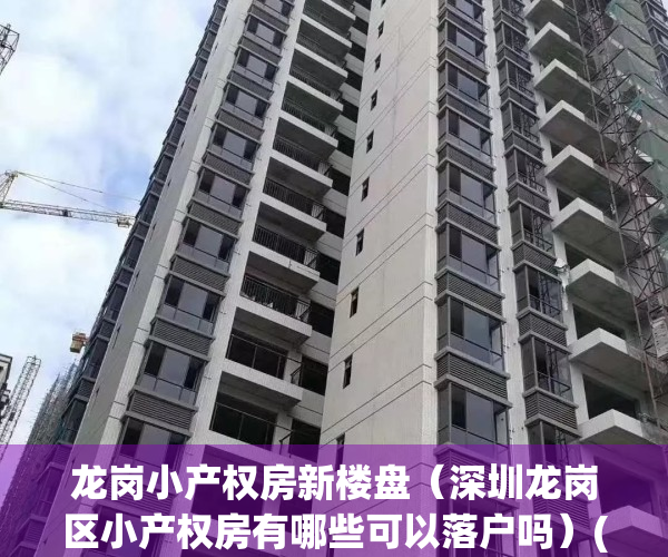 龙岗小产权房新楼盘（深圳龙岗区小产权房有哪些可以落户吗）(龙岗小产权房高品质值得信赖)