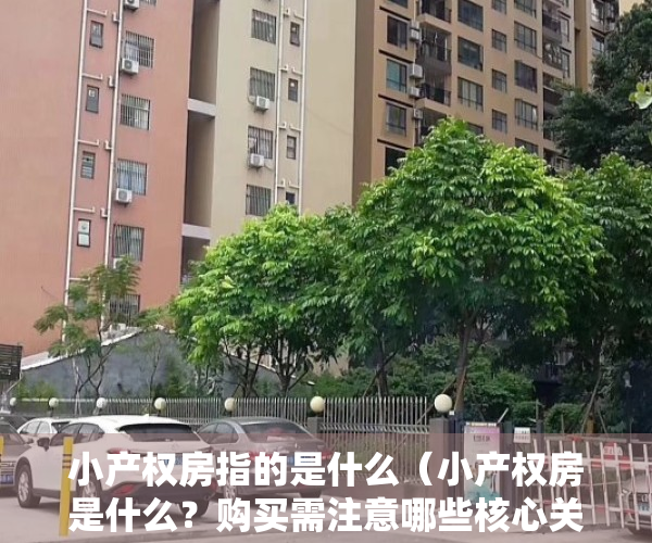 小产权房指的是什么（小产权房是什么？购买需注意哪些核心关键问题，如何把控其风险）