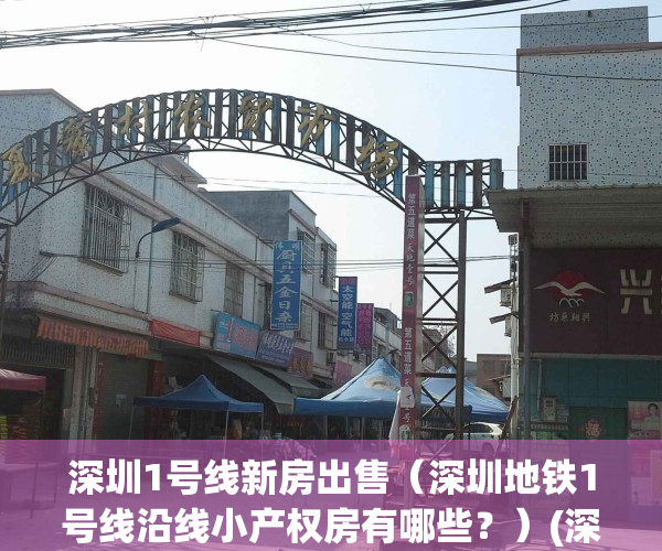 深圳1号线新房出售（深圳地铁1号线沿线小产权房有哪些？）(深圳地铁1号线附近租房信息)