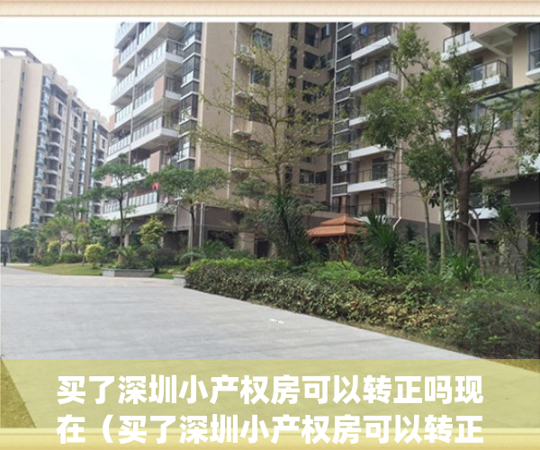 买了深圳小产权房可以转正吗现在（买了深圳小产权房可以转正吗）(深圳小产权可以入深户吗)
