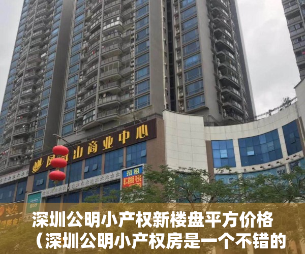 深圳公明小产权新楼盘平方价格（深圳公明小产权房是一个不错的投资方向）