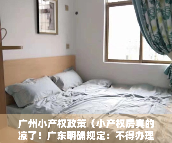 广州小产权政策（小产权房真的凉了！广东明确规定：不得办理不动产登记！）