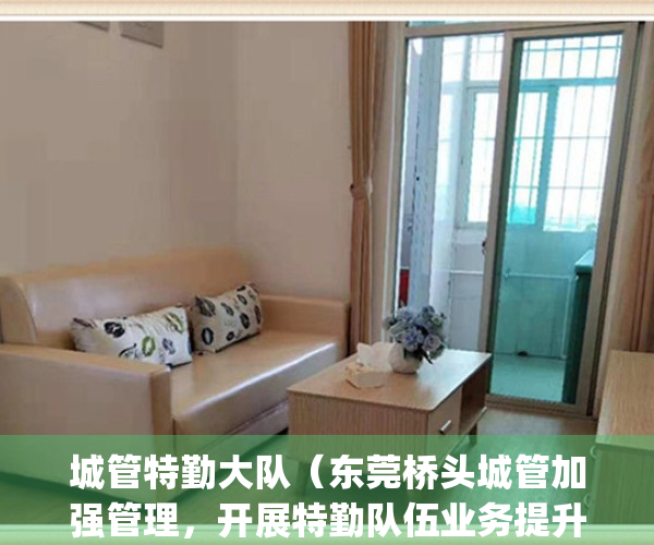 城管特勤大队（东莞桥头城管加强管理，开展特勤队伍业务提升培训）(城管特勤队员是干什么的)