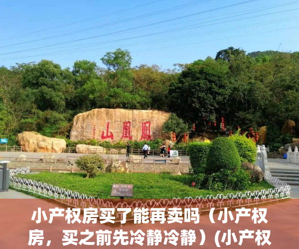 小产权房买了能再卖吗（小产权房，买之前先冷静冷静）(小产权房子买了之后有什么风险吗)