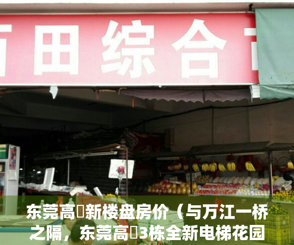东莞高埗新楼盘房价（与万江一桥之隔，东莞高埗3栋全新电梯花园小产权房统建楼（蓝湾半岛）天然气入户，带车库特价4580元起）