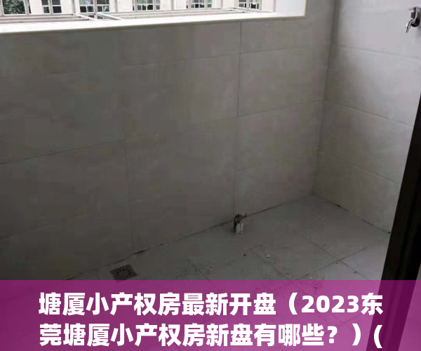 塘厦小产权房最新开盘（2023东莞塘厦小产权房新盘有哪些？）(塘厦小产权房小区有哪些?)