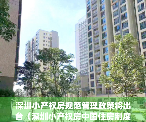 深圳小产权房规范管理政策将出台（深圳小产权房中国住房制度改革）(深圳小产权房改革方向最新政策)