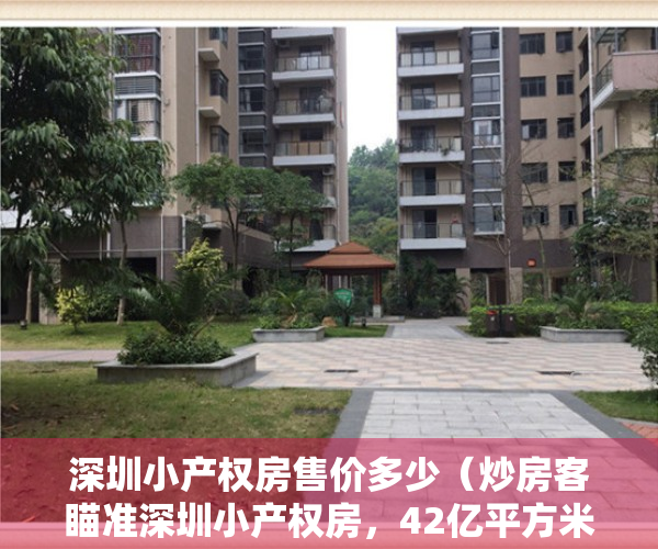 深圳小产权房售价多少（炒房客瞄准深圳小产权房，42亿平方米的建筑面积已成为其护身符）