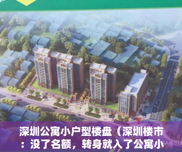 深圳公寓小户型楼盘（深圳楼市：没了名额，转身就入了公寓小产权的坑，刚需一定要注意）