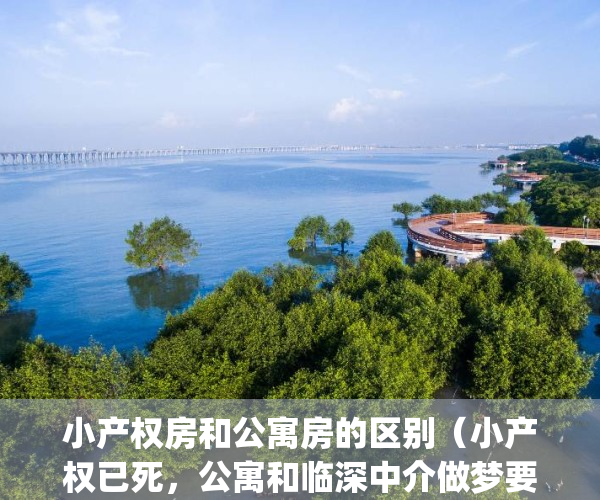 小产权房和公寓房的区别（小产权已死，公寓和临深中介做梦要笑醒？）(小产权与公寓的区别)