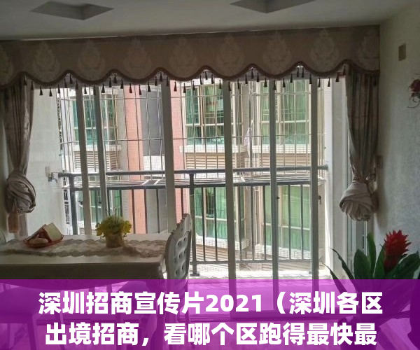 深圳招商宣传片2021（深圳各区出境招商，看哪个区跑得最快最远？）(去深圳招商做好那些准备)