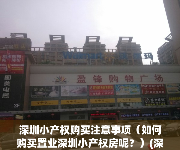 深圳小产权购买注意事项（如何购买置业深圳小产权房呢？）(深圳小产权怎么买)