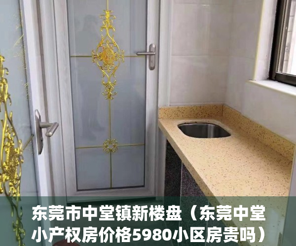 东莞市中堂镇新楼盘（东莞中堂小产权房价格5980小区房贵吗）(东莞中堂有什么新楼盘)