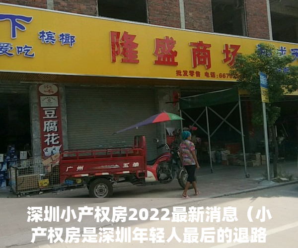 深圳小产权房2022最新消息（小产权房是深圳年轻人最后的退路！不能炒，炒不得！）