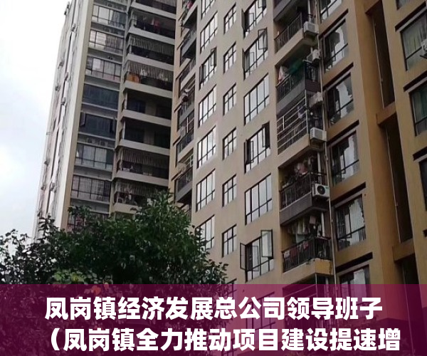 凤岗镇经济发展总公司领导班子（凤岗镇全力推动项目建设提速增效）(凤岗镇领导班子成员)