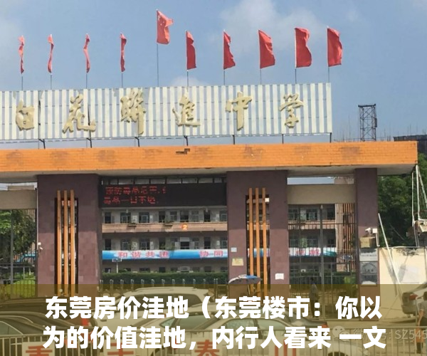 东莞房价洼地（东莞楼市：你以为的价值洼地，内行人看来 一文不值）