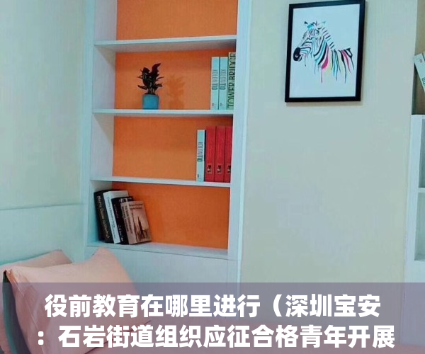 役前教育在哪里进行（深圳宝安：石岩街道组织应征合格青年开展役前教育）