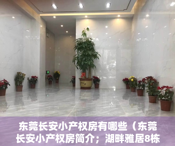 东莞长安小产权房有哪些（东莞长安小产权房简介；湖畔雅居8栋品质型楼盘）