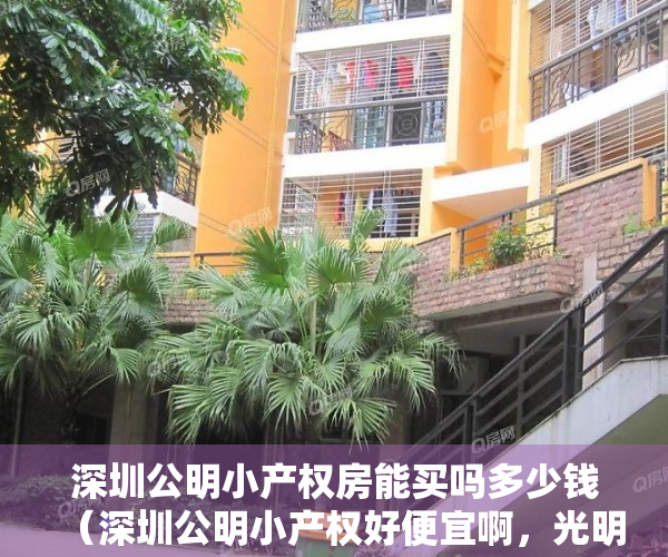 深圳公明小产权房能买吗多少钱（深圳公明小产权好便宜啊，光明小产权房有原始户型吗？凤凰城有小产权房卖吗？）