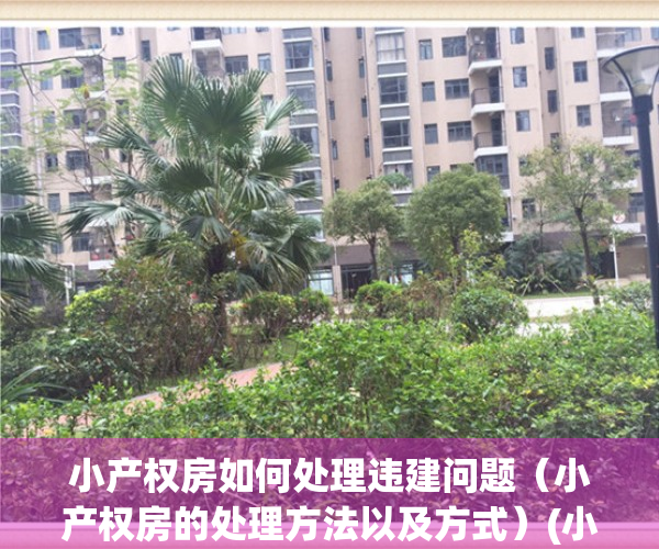 小产权房如何处理违建问题（小产权房的处理方法以及方式）(小产权违建购房款怎么要回)