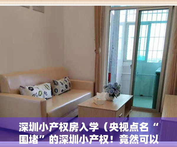 深圳小产权房入学（央视点名“围堵”的深圳小产权！竟然可以入读深外？房价飞涨到停摆！）