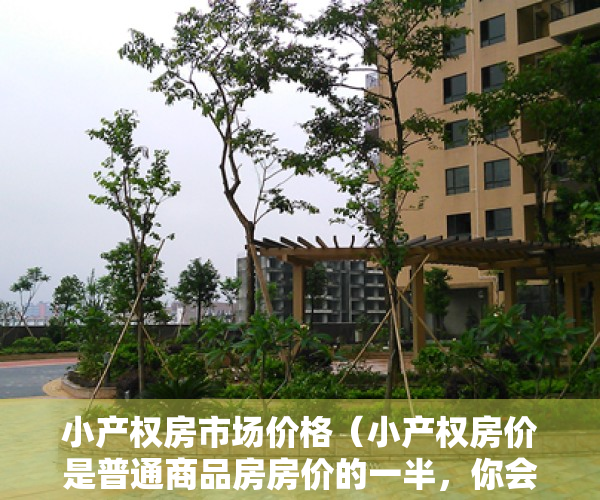 小产权房市场价格（小产权房价是普通商品房房价的一半，你会怎么选？）