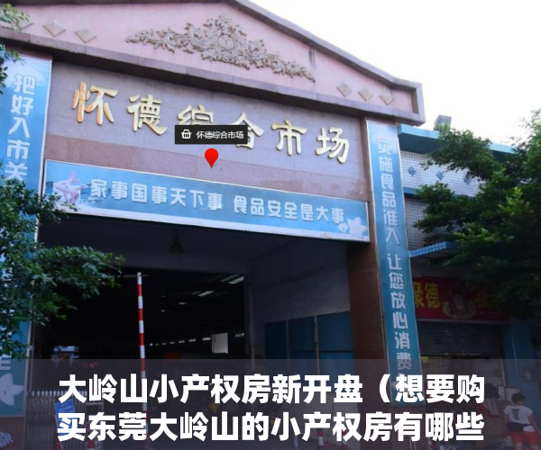 大岭山小产权房新开盘（想要购买东莞大岭山的小产权房有哪些省钱的方式）