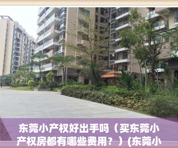 东莞小产权好出手吗（买东莞小产权房都有哪些费用？）(东莞小产权房有升值空间吗?)